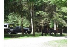 Hussy Mountain Horse Camp